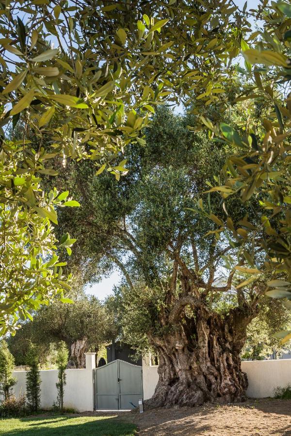 Villa Laoura Zvoronáta Kültér fotó